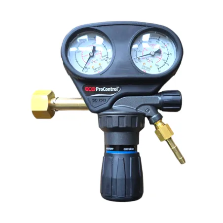 Reduktor ProControl tlen z manometrami GCE (G6260)